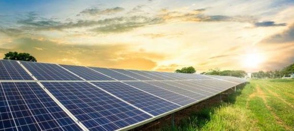 10000m² Land in Pisa, Italy No. 123109 5