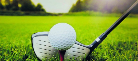 Land in Ebreichsdorf, Austria No. 151491 7