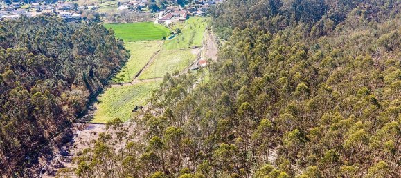Terrain à Barcelos, Portugal 18700m² No. 10153 15