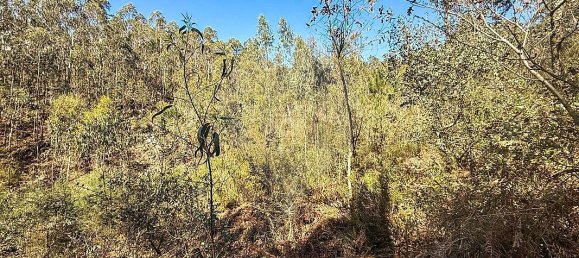 Terrain à Barcelos, Portugal 18700m² No. 10153 12