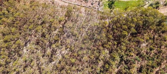 Terrain à Barcelos, Portugal 18700m² No. 10153 17