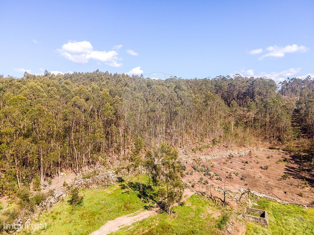 Terrain à Barcelos, Portugal 18700m² No. 10153