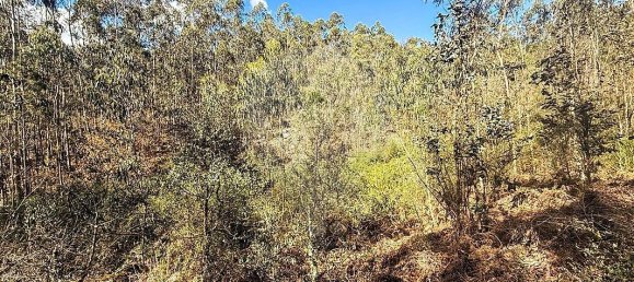 Terrain à Barcelos, Portugal 18700m² No. 10153 5