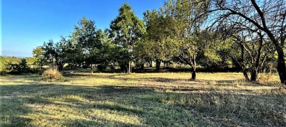 5-Zimmer Haus in Predosa, Italy, Nr. 118123 8