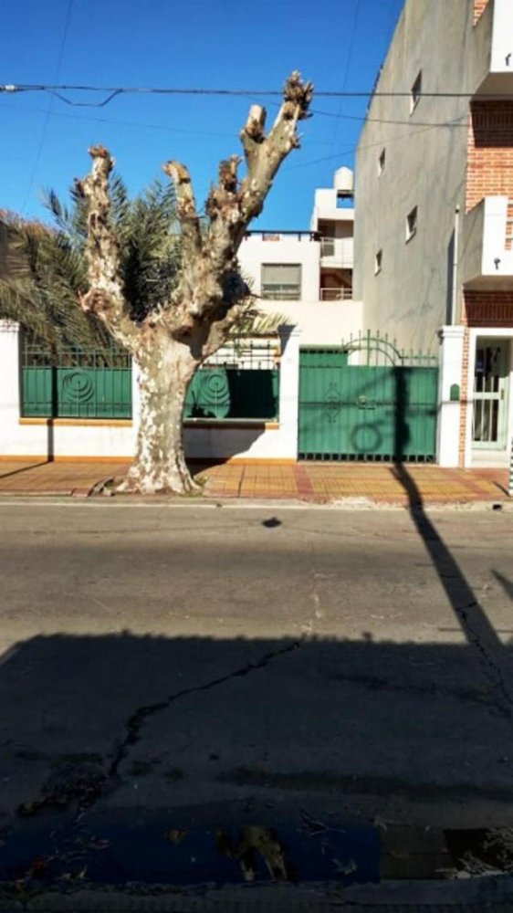 188m² Land in Moron, Argentina No. 35651