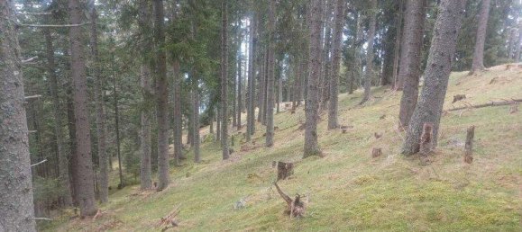  Land in Treffen am Ossiacher See, Austria No. 163035 5