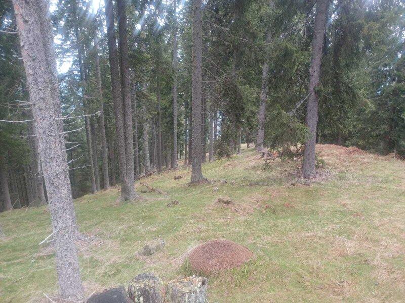  Land in Treffen am Ossiacher See, Austria No. 163035