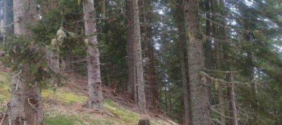  Land in Treffen am Ossiacher See, Austria No. 163035 4