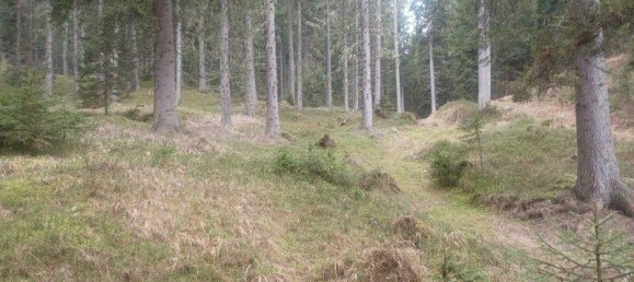  Land in Treffen am Ossiacher See, Austria No. 163035 2