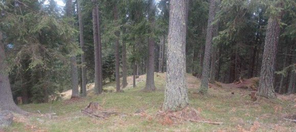  Land in Treffen am Ossiacher See, Austria No. 163035 3