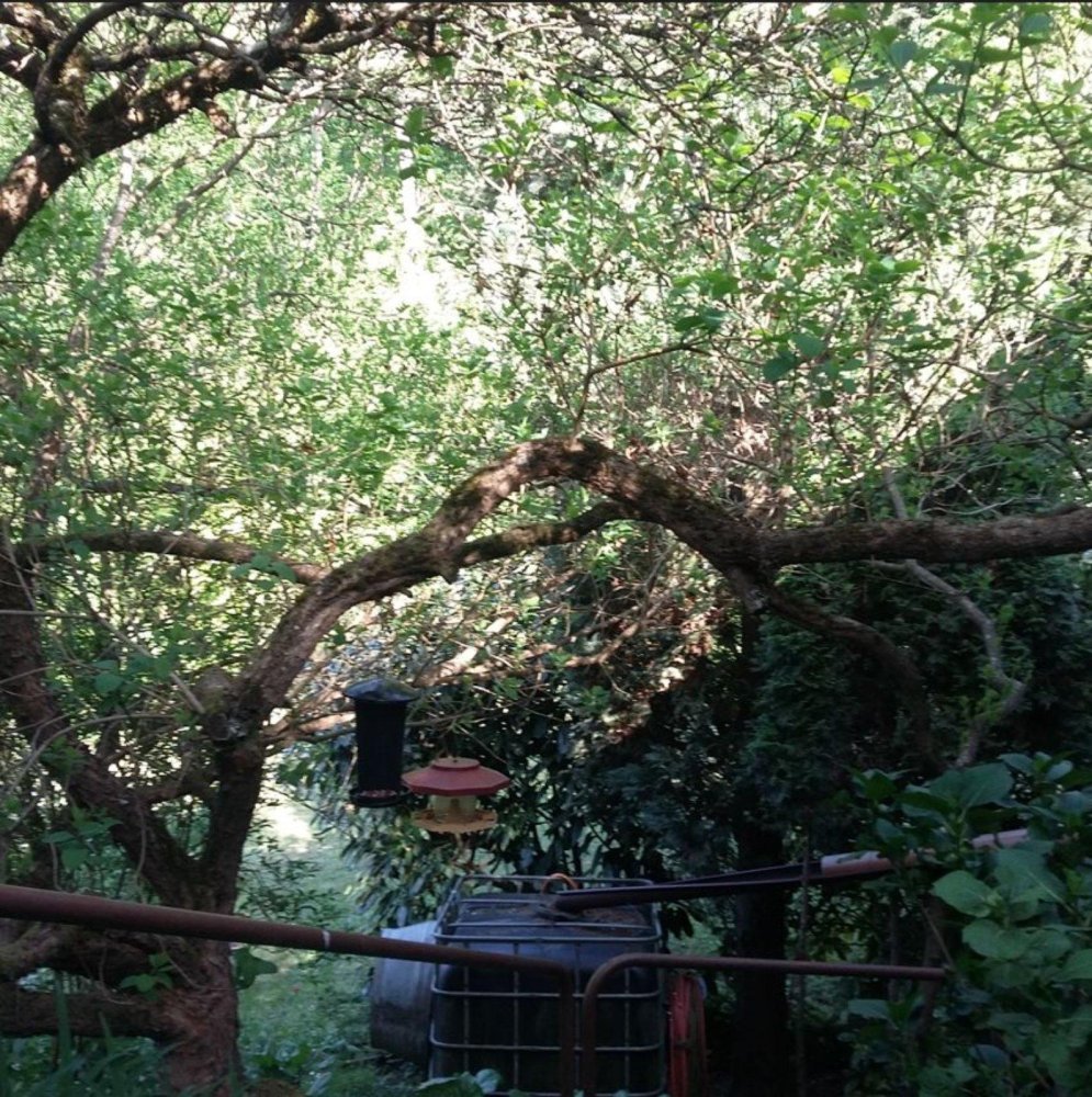 Земельный участок в Штутгарт, Германия № 254618