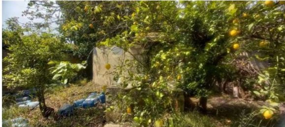 5غرفة شقة في Avola, Italy رقم 40573 4