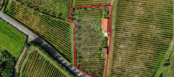 3 غرف نوم قلاع في Peso da Regua, Portugal رقم 185594 5