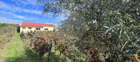 3 غرف نوم قلاع في Peso da Regua, Portugal رقم 185594 33