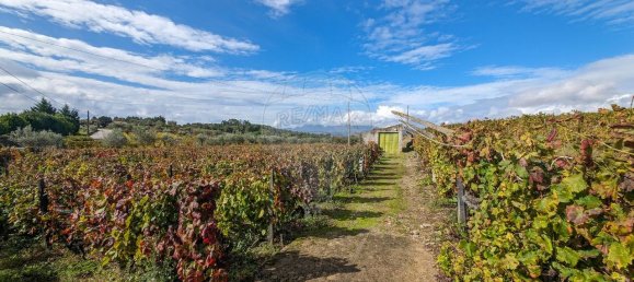 3 غرف نوم قلاع في Peso da Regua, Portugal رقم 185594 31