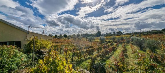 3 غرف نوم قلاع في Peso da Regua, Portugal رقم 185594 32