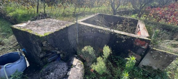 3 غرف نوم قلاع في Peso da Regua, Portugal رقم 185594 34