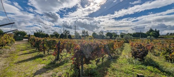 3 غرف نوم قلاع في Peso da Regua, Portugal رقم 185594 29