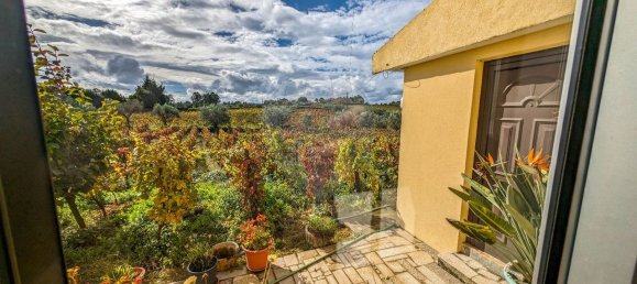 3 غرف نوم قلاع في Peso da Regua, Portugal رقم 185594 7