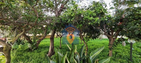 Villa de 6 habitaciónes en Castelvetrano, Italy No. 148569 4