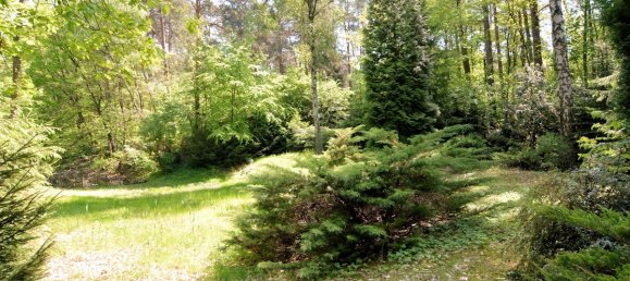 2-salle Maison à Wittenberg, Germany No. 167660 4