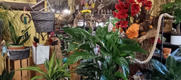 45m² Commercial property in Grosseto, Italy No. 262442 6