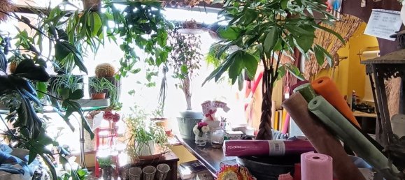 45m² Commercial property in Grosseto, Italy No. 262442 5