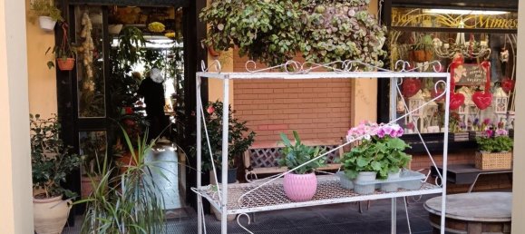 45m² Commercial property in Grosseto, Italy No. 262442 2