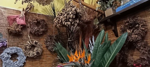 45m² Commercial property in Grosseto, Italy No. 262442 10