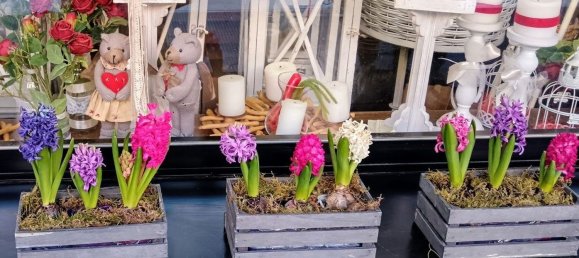 45m² Commercial property in Grosseto, Italy No. 262442 11