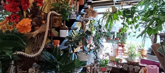 45m² Commercial property in Grosseto, Italy No. 262442 3