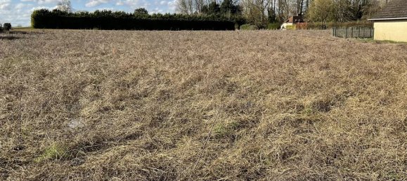 Земельный участок 1600м² в Вильмрей, Франция № 274051 3