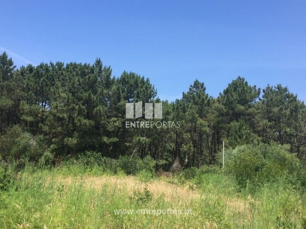 270m² Land in Viana do Castelo, Portugal No. 71124