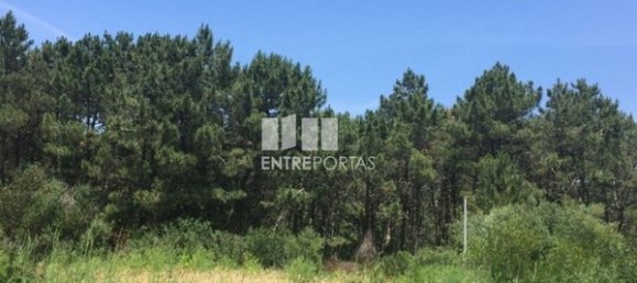 270m² Land in Viana do Castelo, Portugal No. 71124 11