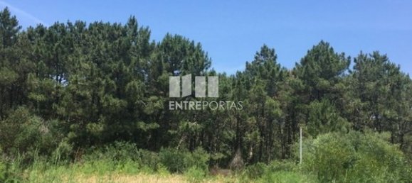 270m² Land in Viana do Castelo, Portugal No. 71124 8