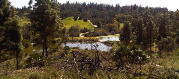 Земельный участок в Михас, Испания № 78209 2