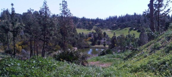 Земельный участок в Михас, Испания № 78209 3