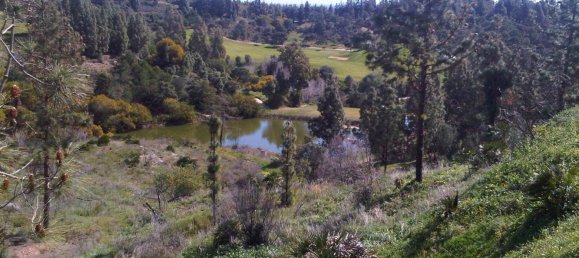 Земельный участок в Михас, Испания № 78209 4