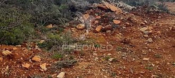 Terreno em Faro, Portugal 6740 m² N.º 32585 6