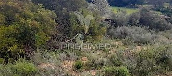 Terreno em Faro, Portugal 6740 m² N.º 32585 7