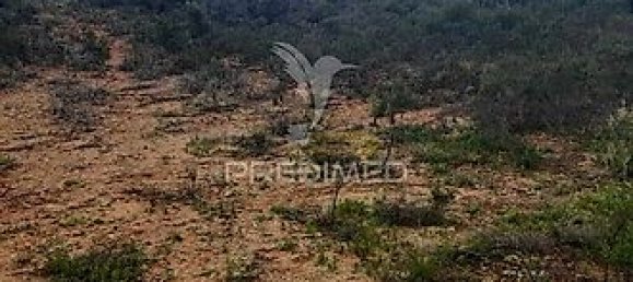 Terreno em Faro, Portugal 6740 m² N.º 32585 12