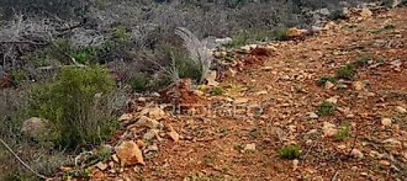 Terreno em Faro, Portugal 6740 m² N.º 32585 10