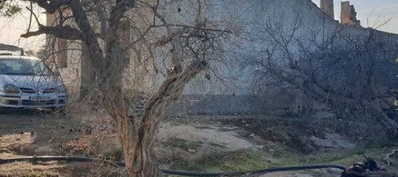 Finca in Rojales, Spain 120.00m², Nr. 5601 3