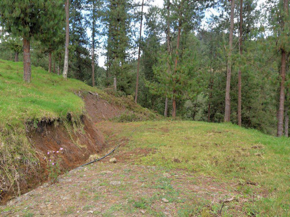 Terrain à Antioquia, Colombia No. 113