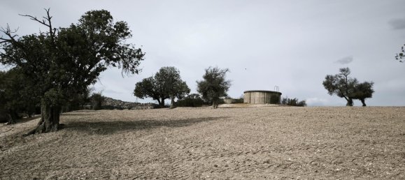 Terra em Agios Theodoros, Cyprus 1004 m² N.º 181156 9