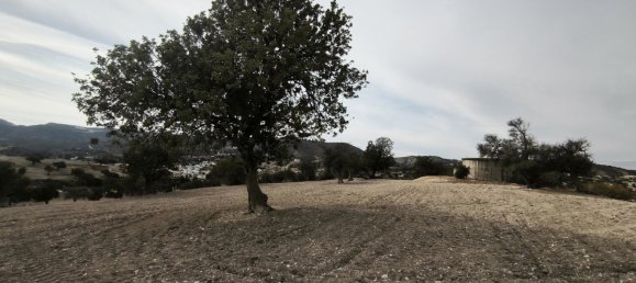 Terra em Agios Theodoros, Cyprus 1004 m² N.º 181156 8
