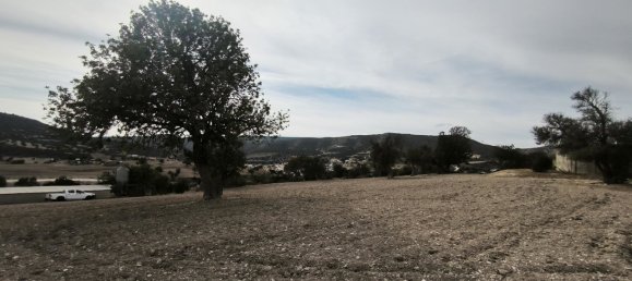 Terra em Agios Theodoros, Cyprus 1004 m² N.º 181156 10
