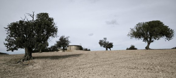 Terra em Agios Theodoros, Cyprus 1004 m² N.º 181156 7
