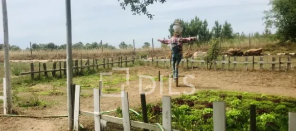 1692m² Hotel in Sao Teotonio, Portugal No. 56455 36