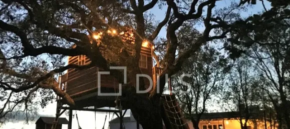 1692m² Hotel in Sao Teotonio, Portugal No. 56455 32